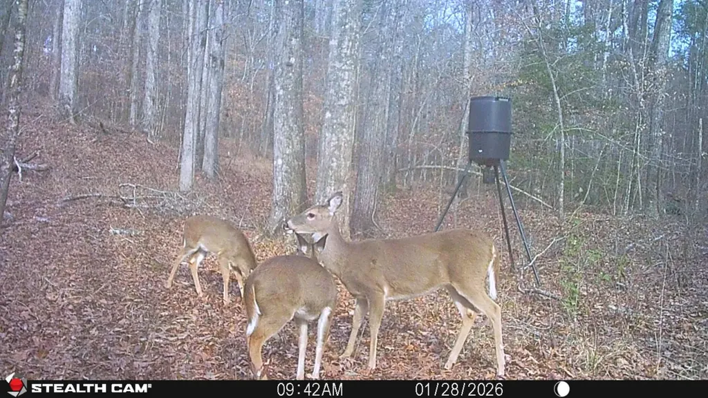 0 County Road 51 Greensboro AL 36744