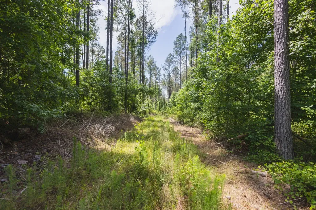 0 County Road 51 Greensboro AL 36744