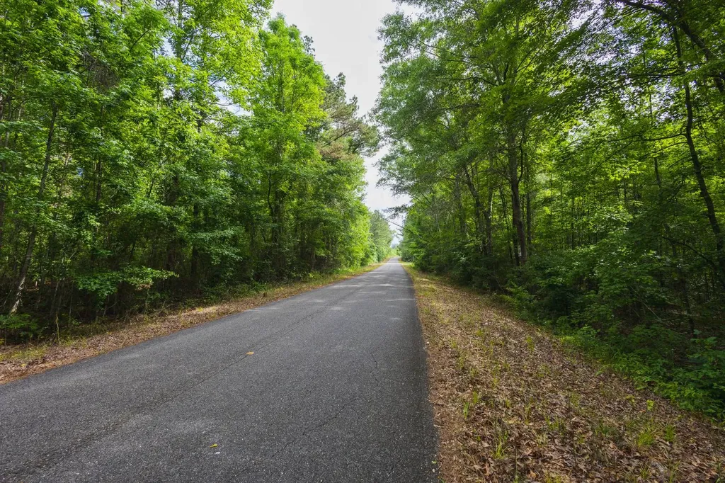 0 County Road 51 Greensboro AL 36744
