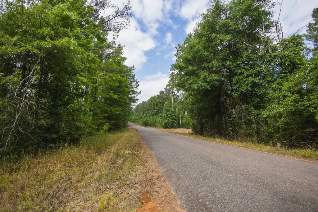 0 County Road 51 Greensboro AL 36744