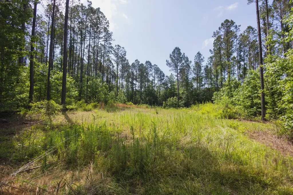 0 County Road 51 Greensboro AL 36744