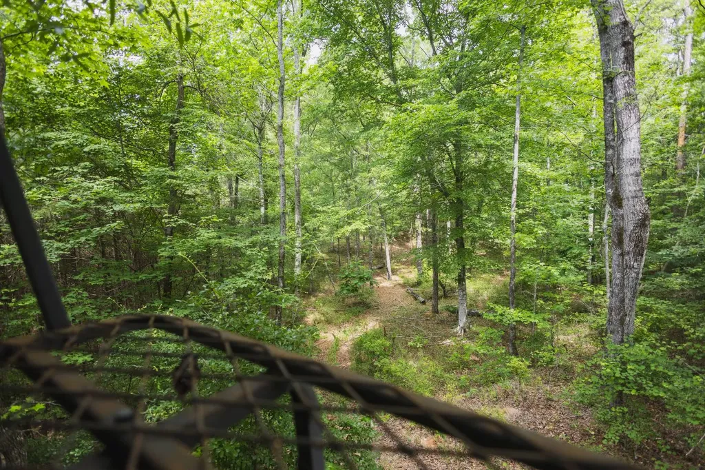 0 County Road 51 Greensboro AL 36744