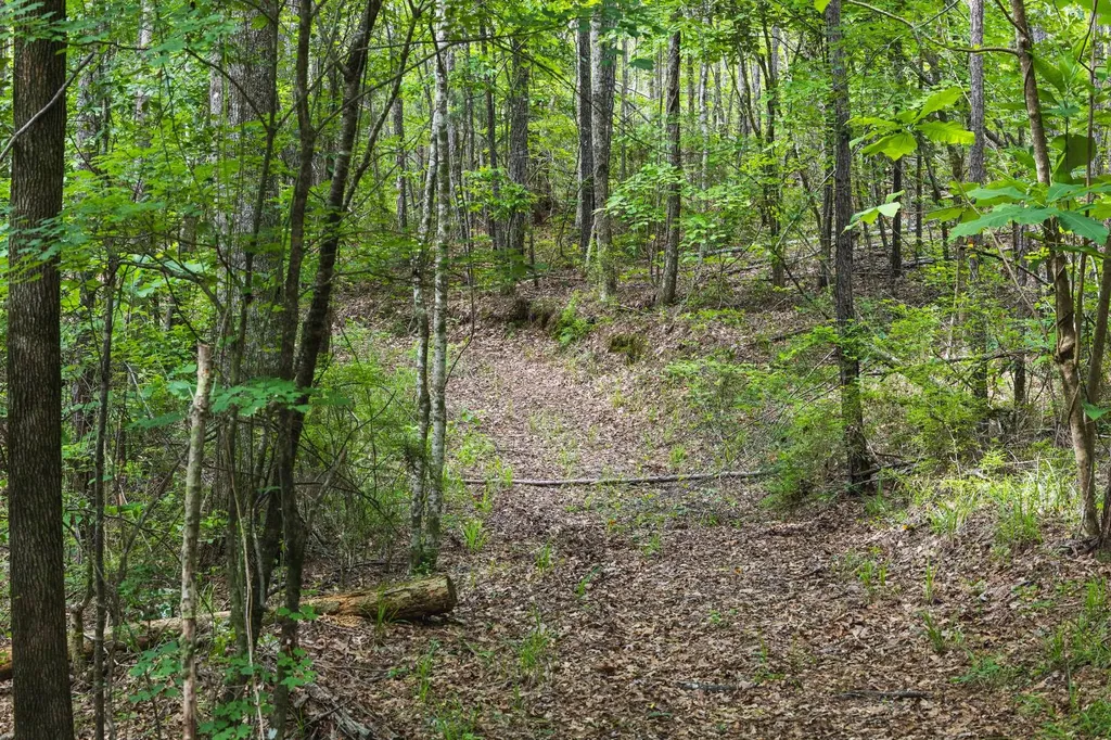 0 County Road 51 Greensboro AL 36744