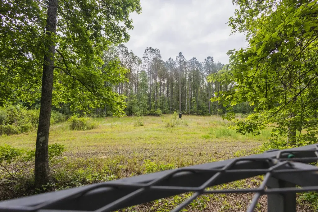 0 County Road 51 Greensboro AL 36744