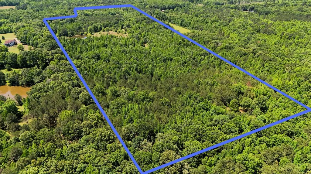 000 County Road 4 Fitzpatrick AL 36029
