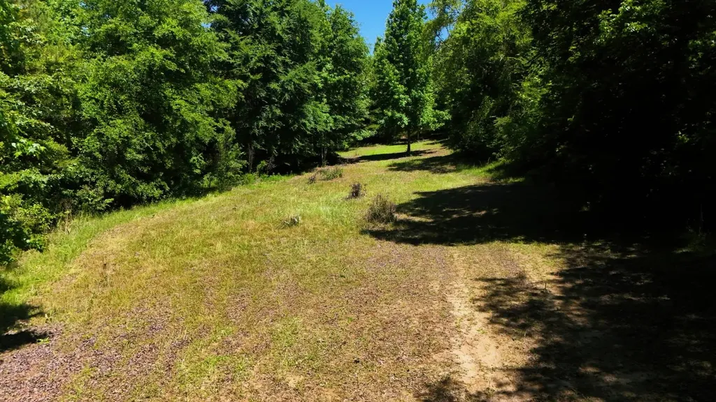 000 County Road 4 Fitzpatrick AL 36029
