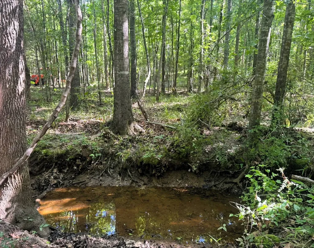 000 County Road 4 Fitzpatrick AL 36029
