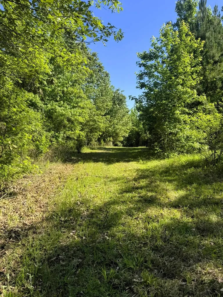 000 County Road 4 Fitzpatrick AL 36029