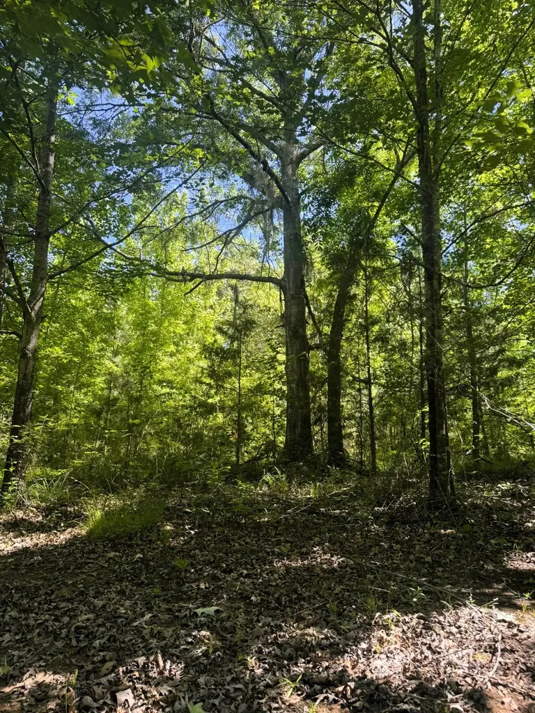 000 County Road 4 Fitzpatrick AL 36029