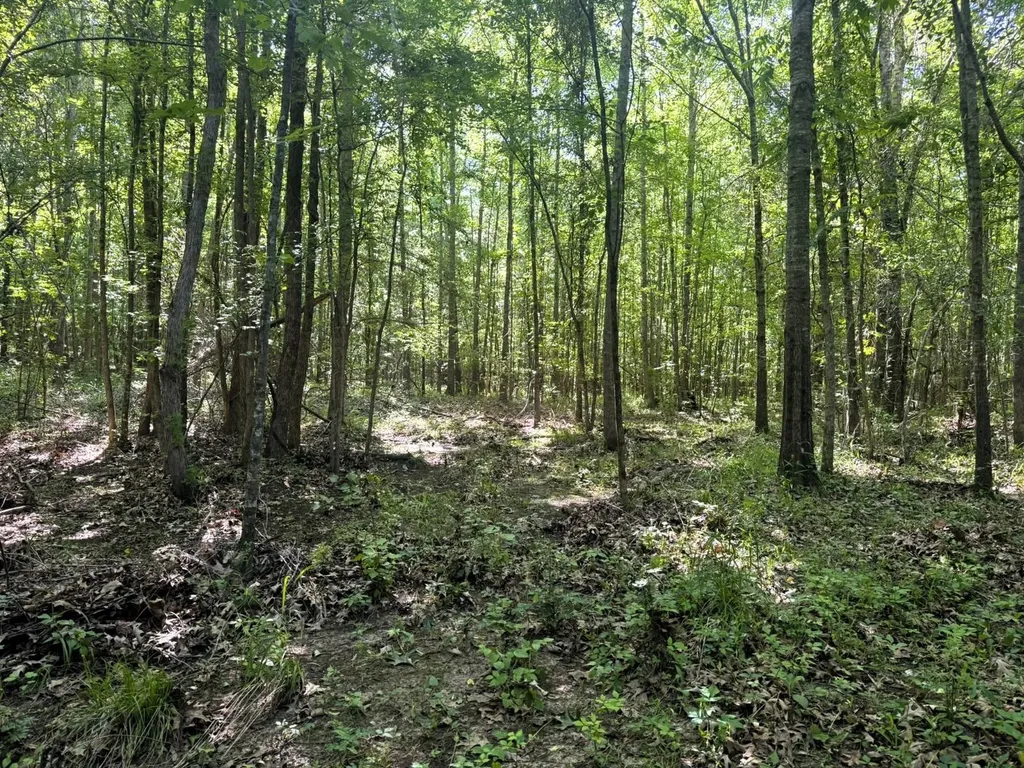 000 County Road 4 Fitzpatrick AL 36029