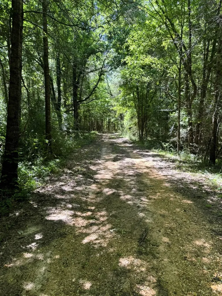 000 County Road 4 Fitzpatrick AL 36029