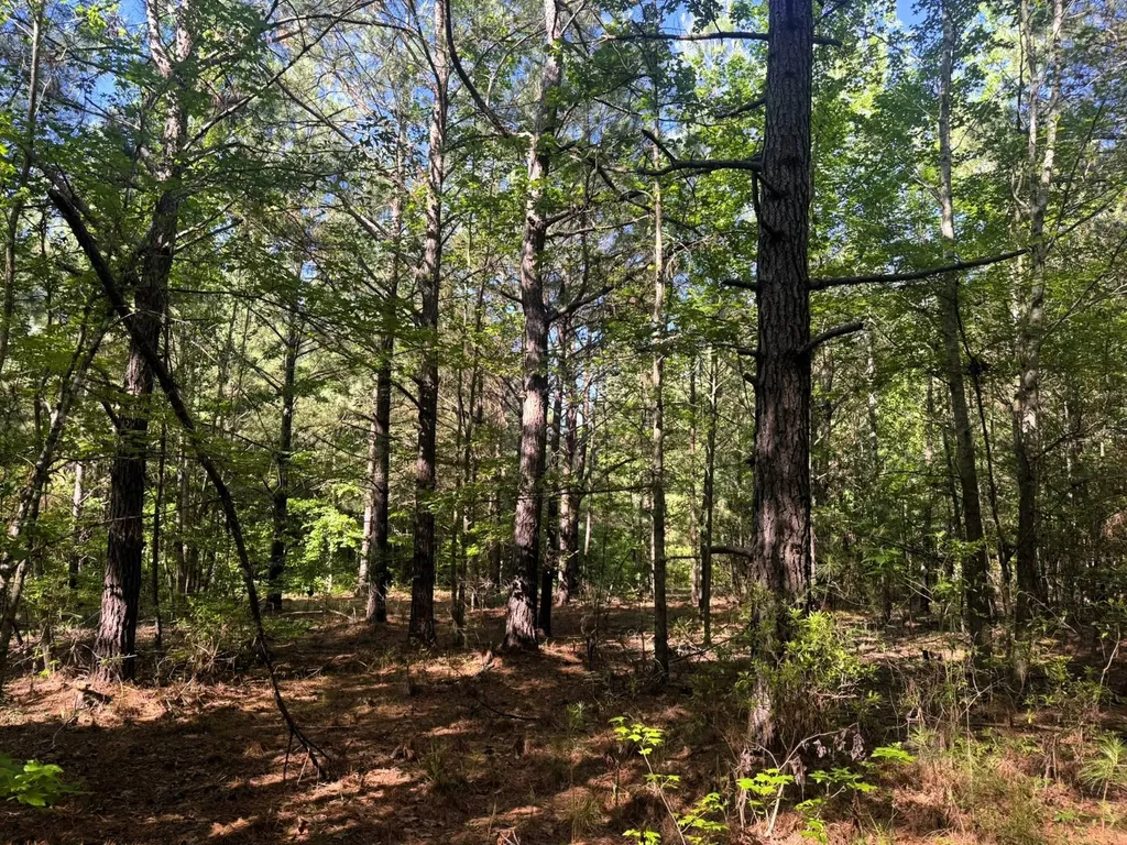 000 County Road 4 Fitzpatrick AL 36029