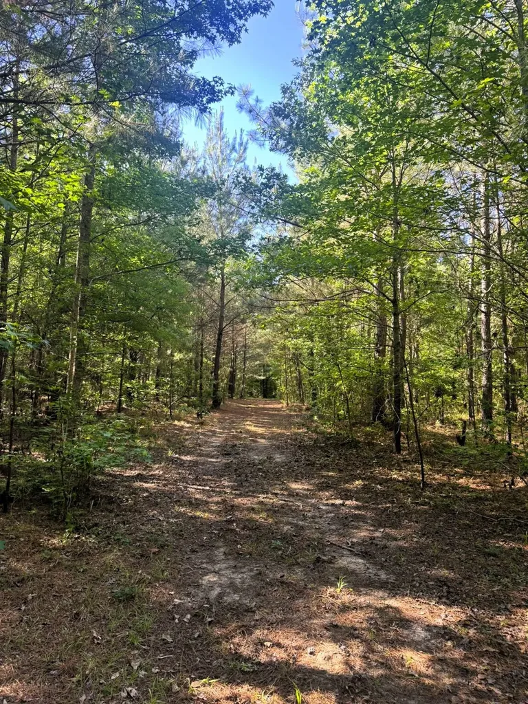 000 County Road 4 Fitzpatrick AL 36029