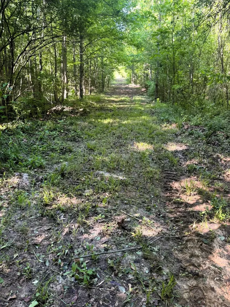 000 County Road 4 Fitzpatrick AL 36029