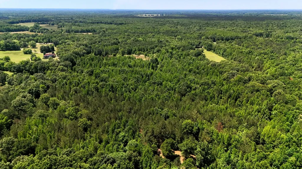 000 County Road 4 Fitzpatrick AL 36029