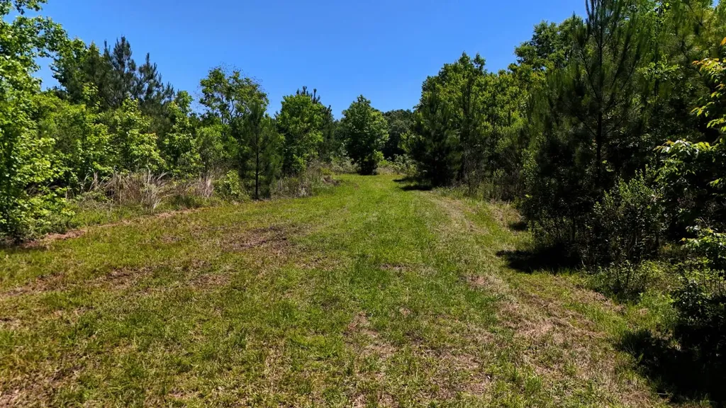 000 County Road 4 Fitzpatrick AL 36029