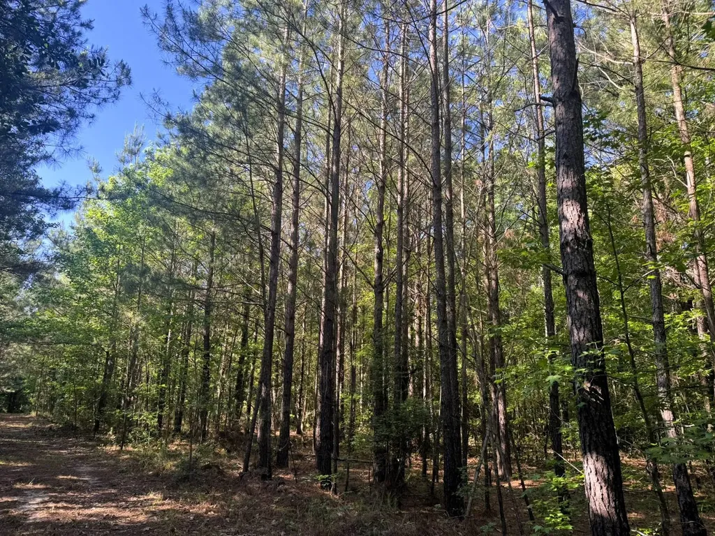 000 County Road 4 Fitzpatrick AL 36029