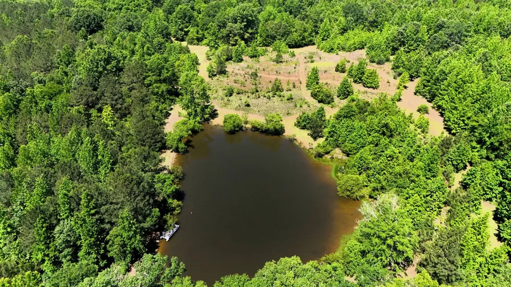 000 County Road 4 Fitzpatrick AL 36029