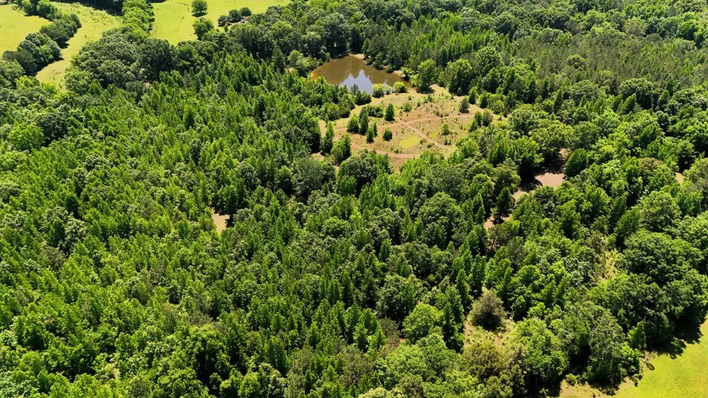 000 County Road 4 Fitzpatrick AL 36029