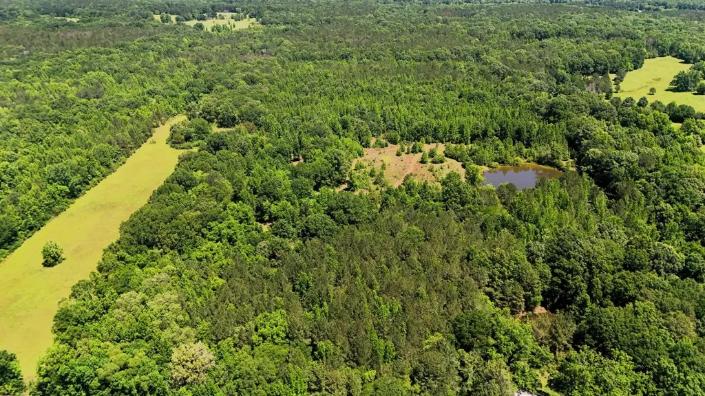 000 County Road 4 Fitzpatrick AL 36029