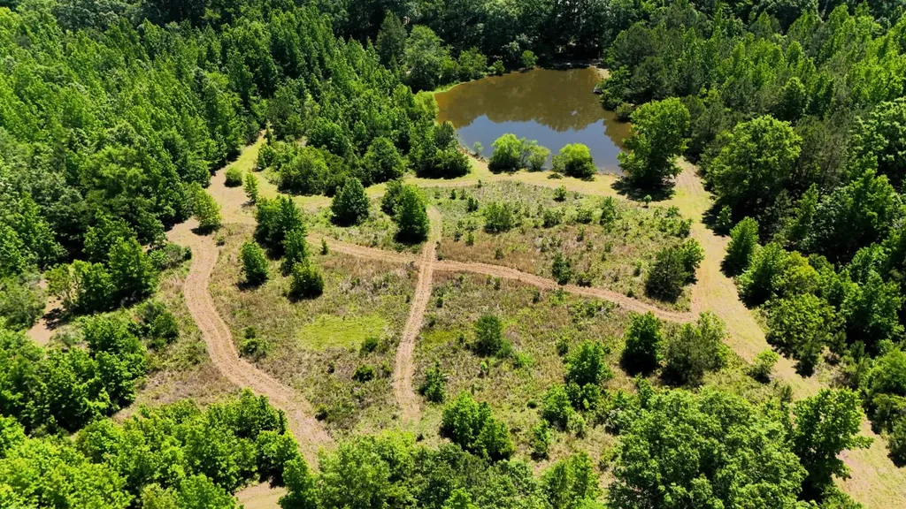 000 County Road 4 Fitzpatrick AL 36029
