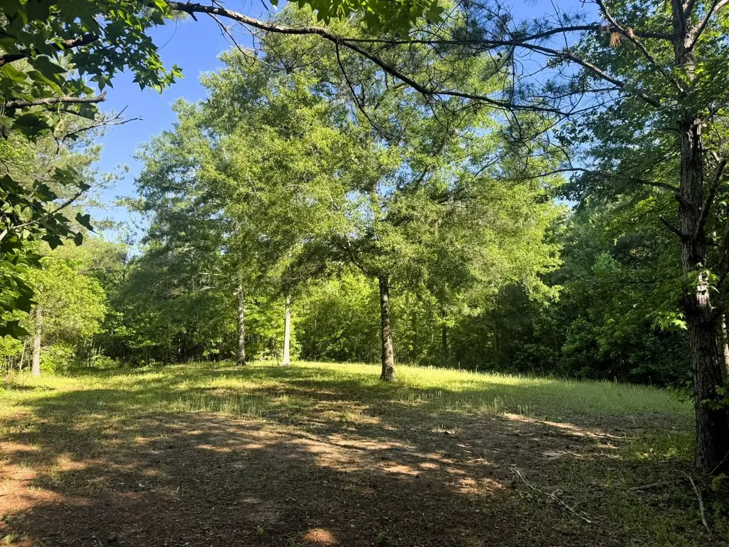 000 County Road 4 Fitzpatrick AL 36029