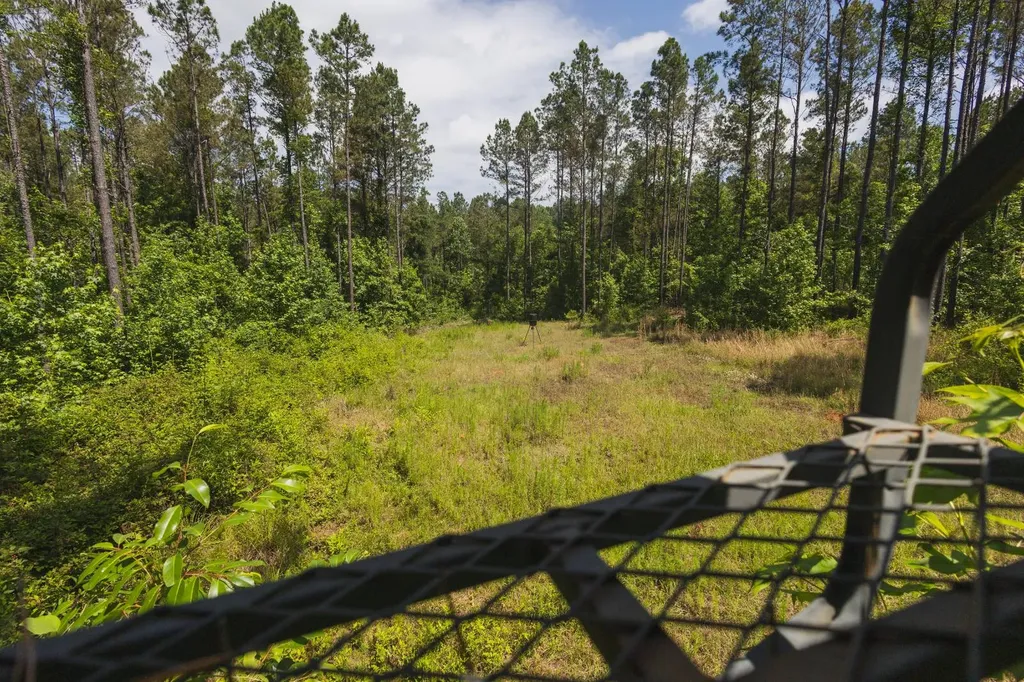 0 County Road 51 Greensboro AL 36744
