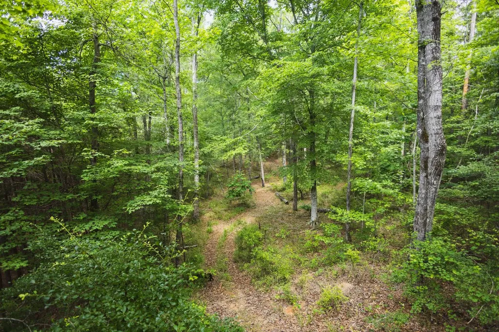 0 County Road 51 Greensboro AL 36744