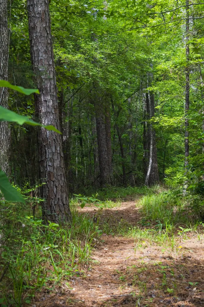 0 County Road 51 Greensboro AL 36744