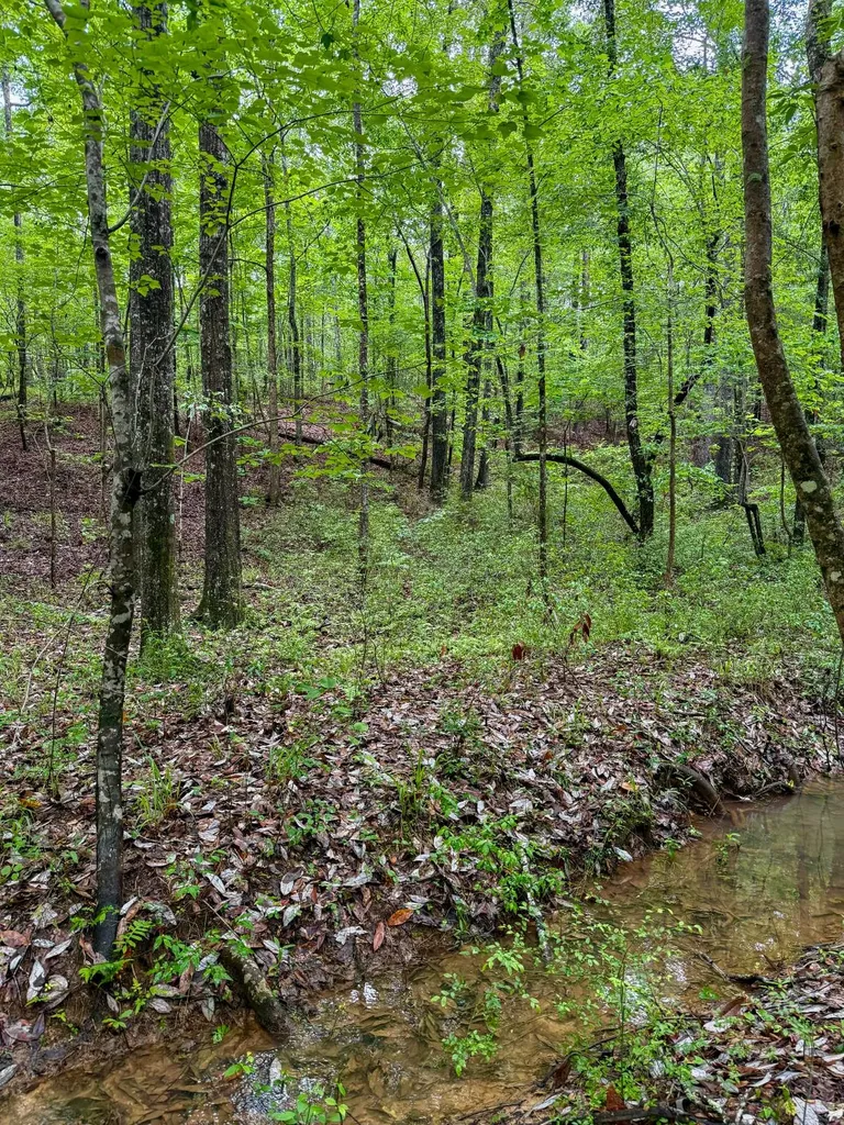 0 County Road 51 Greensboro AL 36744