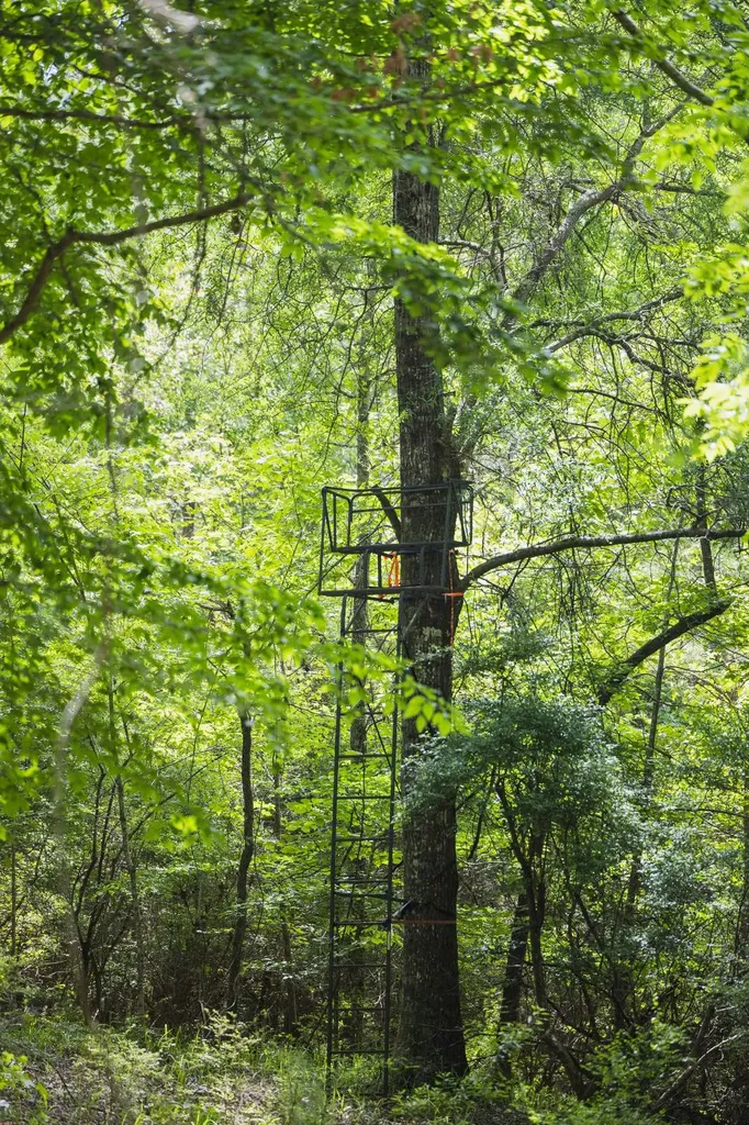 0 County Road 51 Greensboro AL 36744