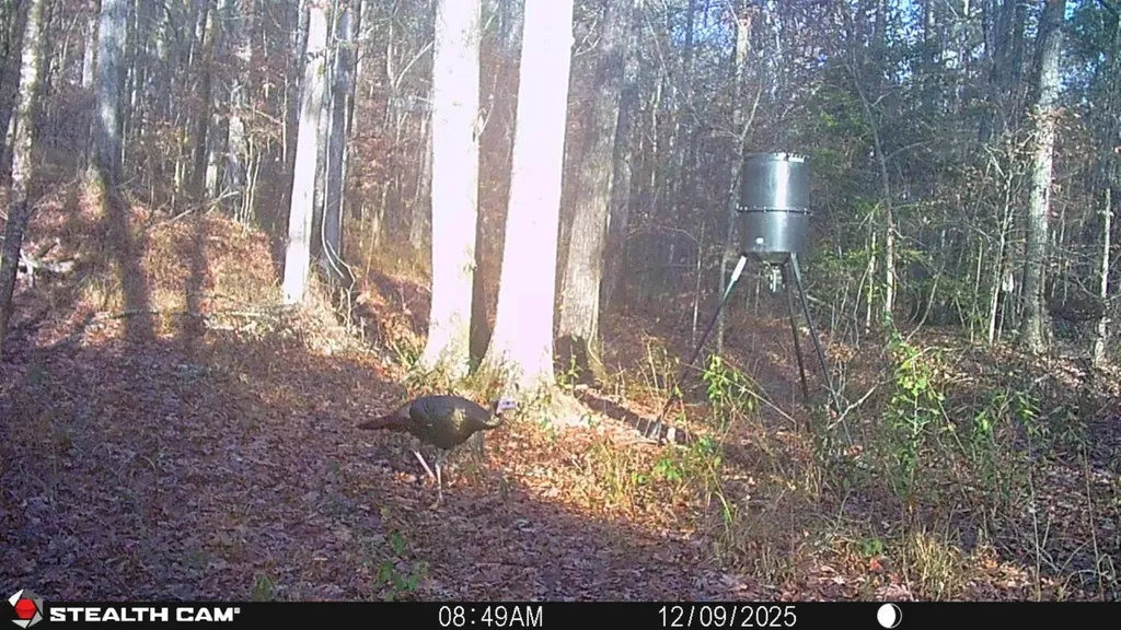 0 County Road 51 Greensboro AL 36744