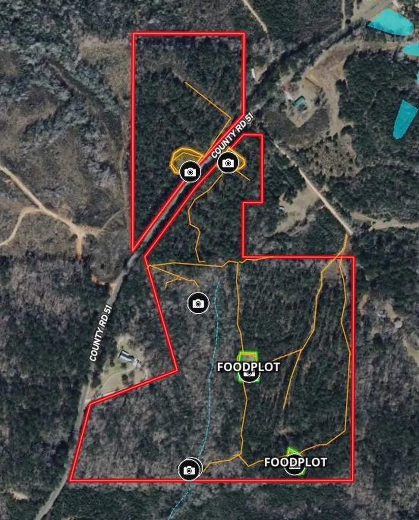 0 County Road 51 Greensboro AL 36744