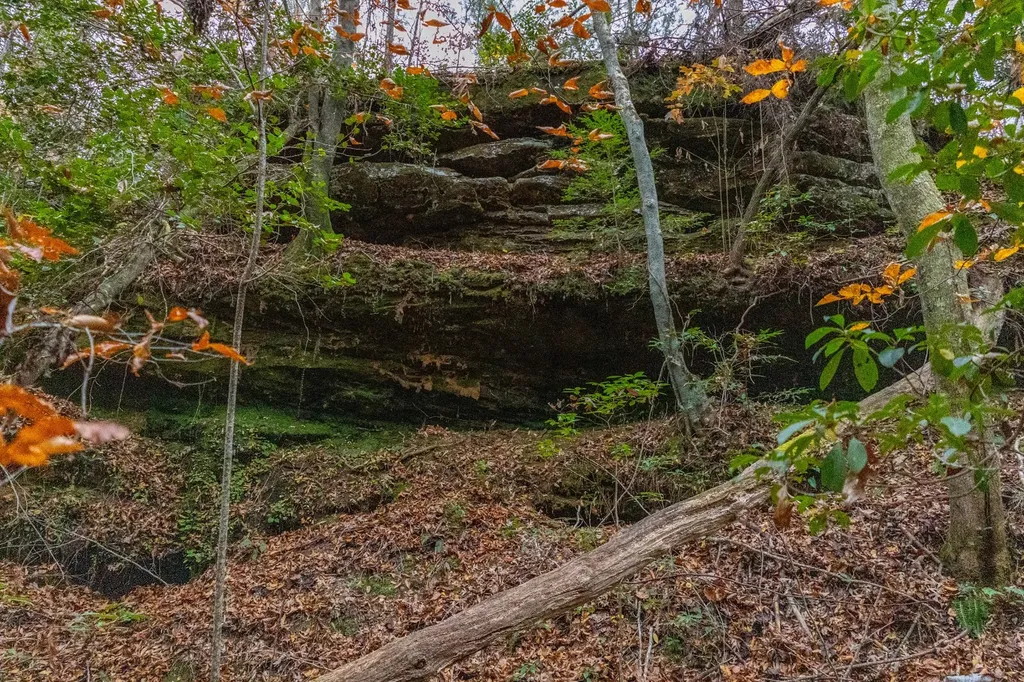 0 County Road 15 Haleyville AL 35553