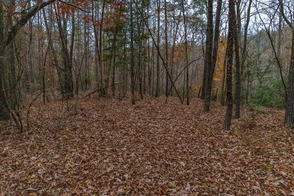 0 County Road 15 Haleyville AL 35553