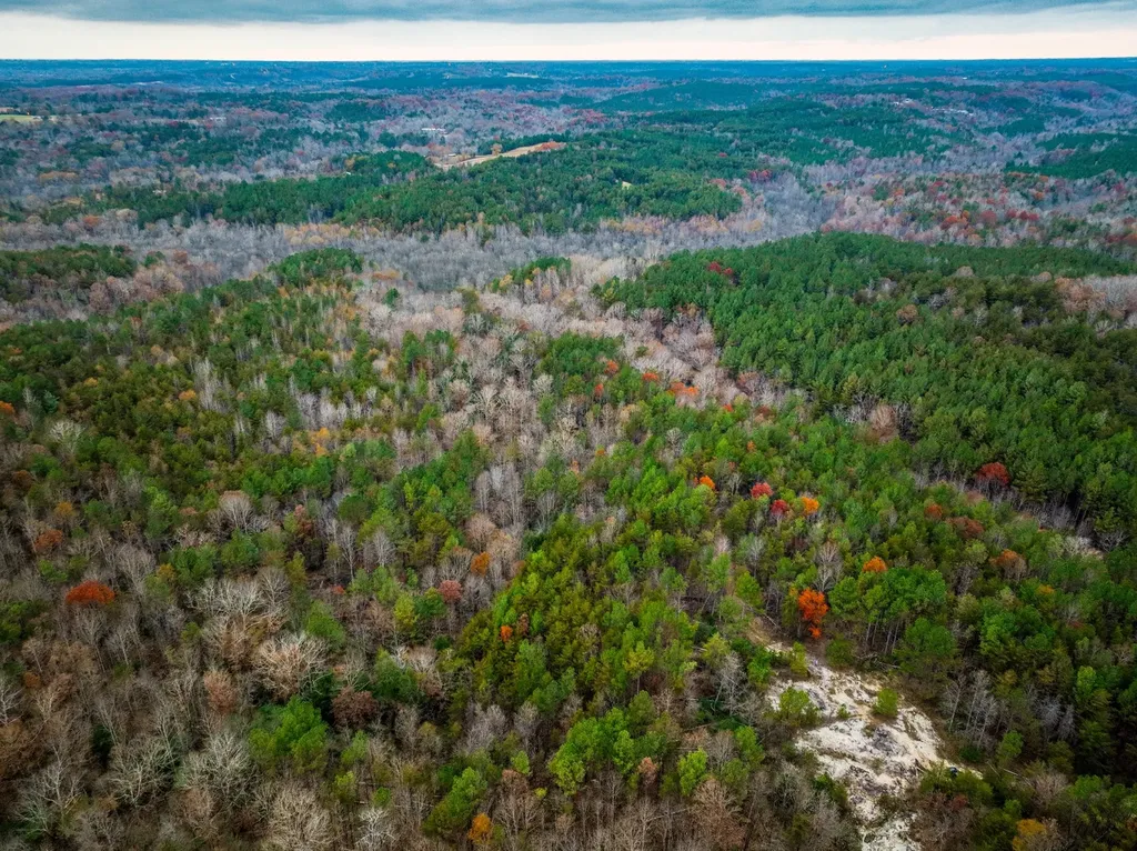 0 County Road 15 Haleyville AL 35553