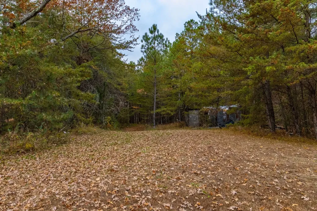 0 County Road 15 Haleyville AL 35553