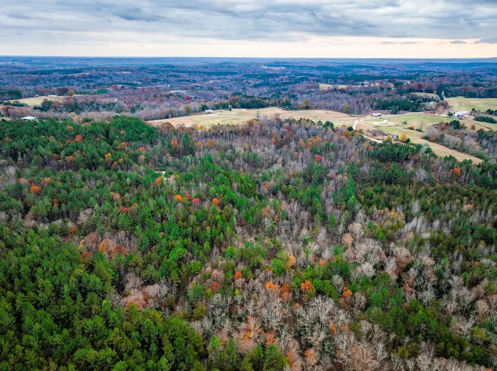 0 County Road 15 Haleyville AL 35553
