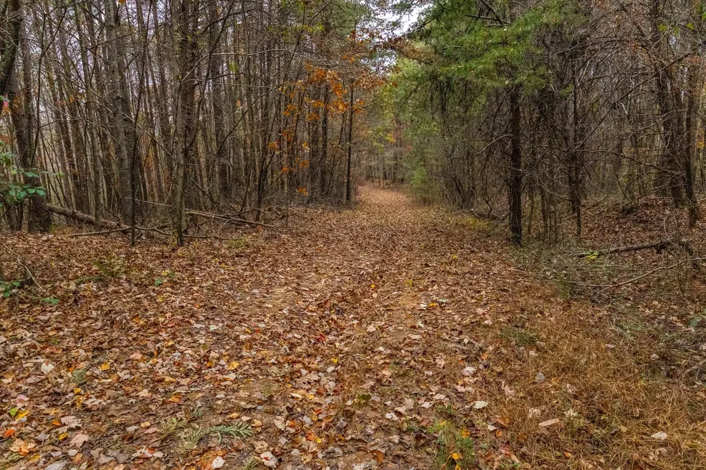 0 County Road 15 Haleyville AL 35553