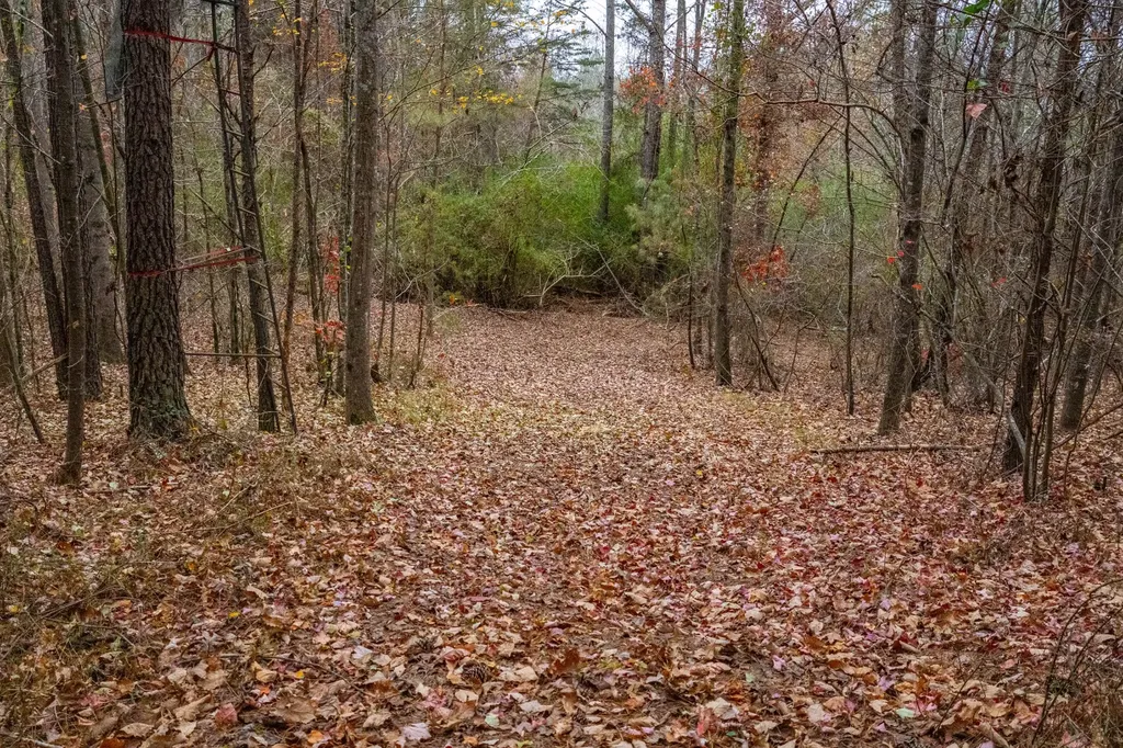 0 County Road 15 Haleyville AL 35553