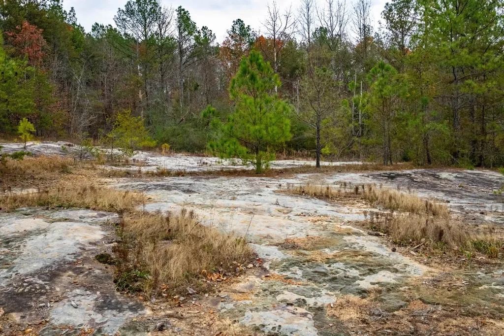 0 County Road 15 Haleyville AL 35553