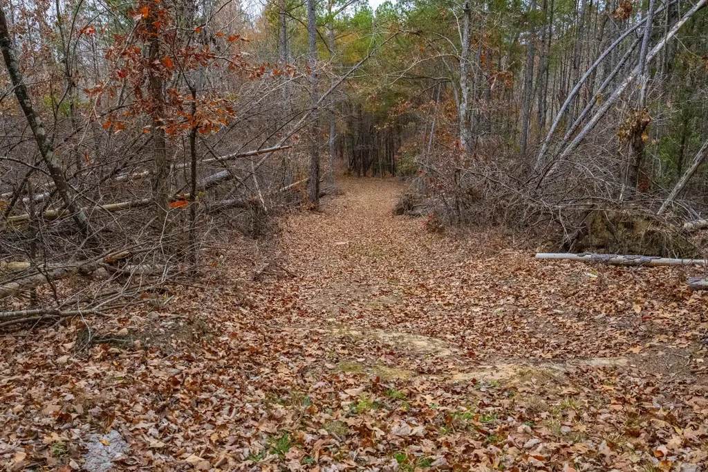 0 County Road 15 Haleyville AL 35553