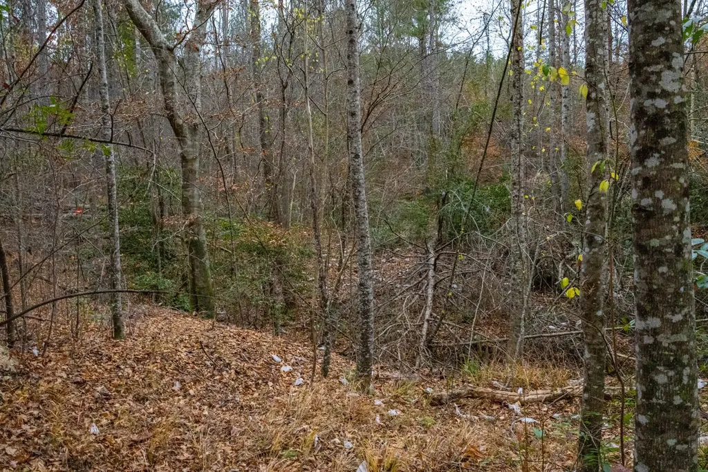 0 County Road 15 Haleyville AL 35553