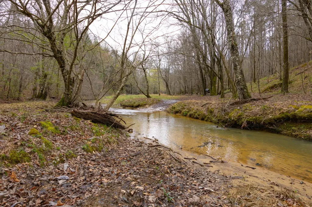 0 County Road 405 Haleyville AL 35565