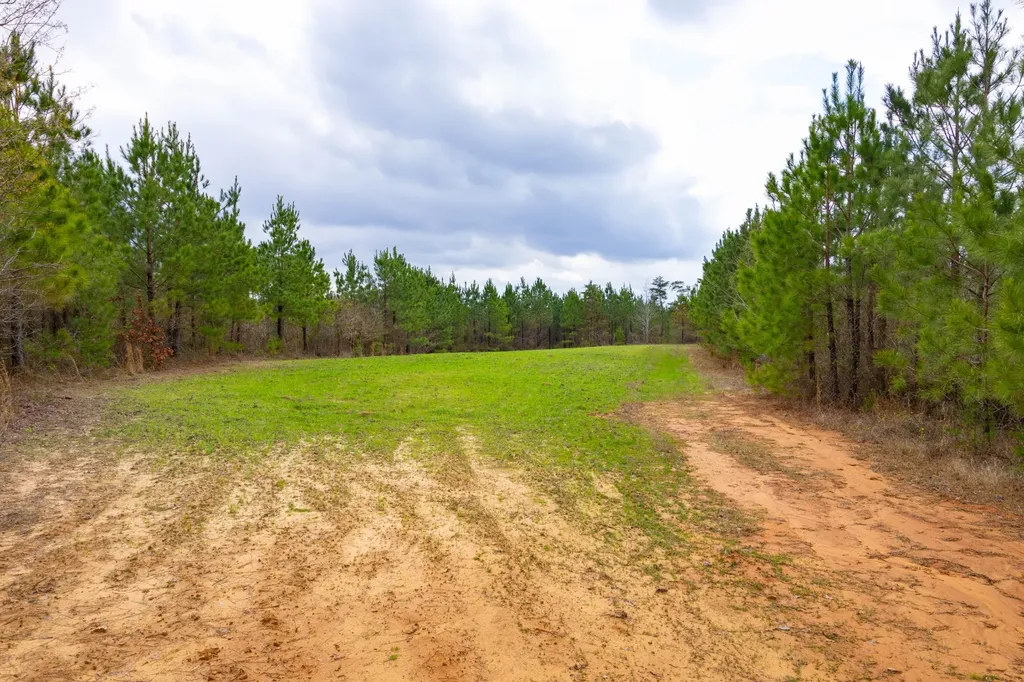 0 County Road 405 Haleyville AL 35565