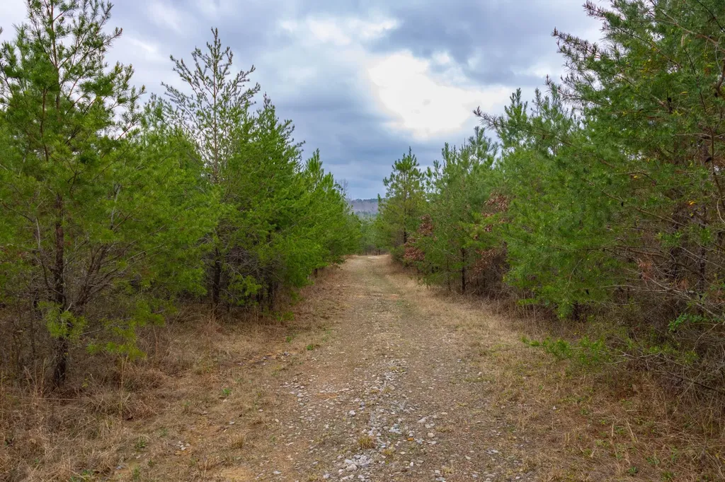 0 County Road 405 Haleyville AL 35565