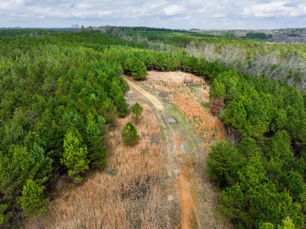 0 County Road 405 Haleyville AL 35565
