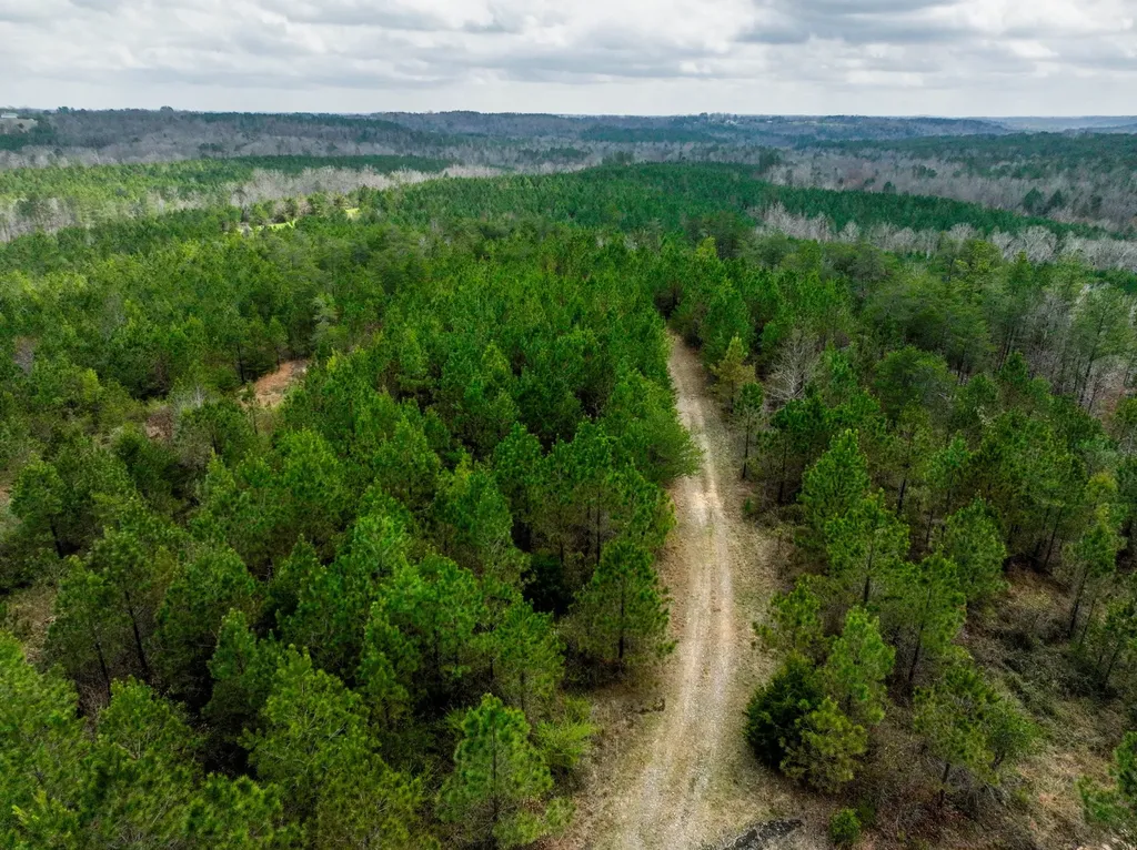 0 County Road 405 Haleyville AL 35565