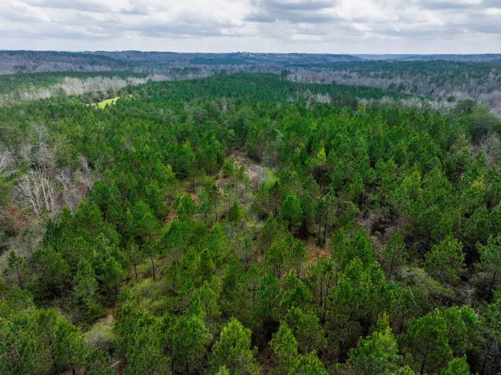0 County Road 405 Haleyville AL 35565