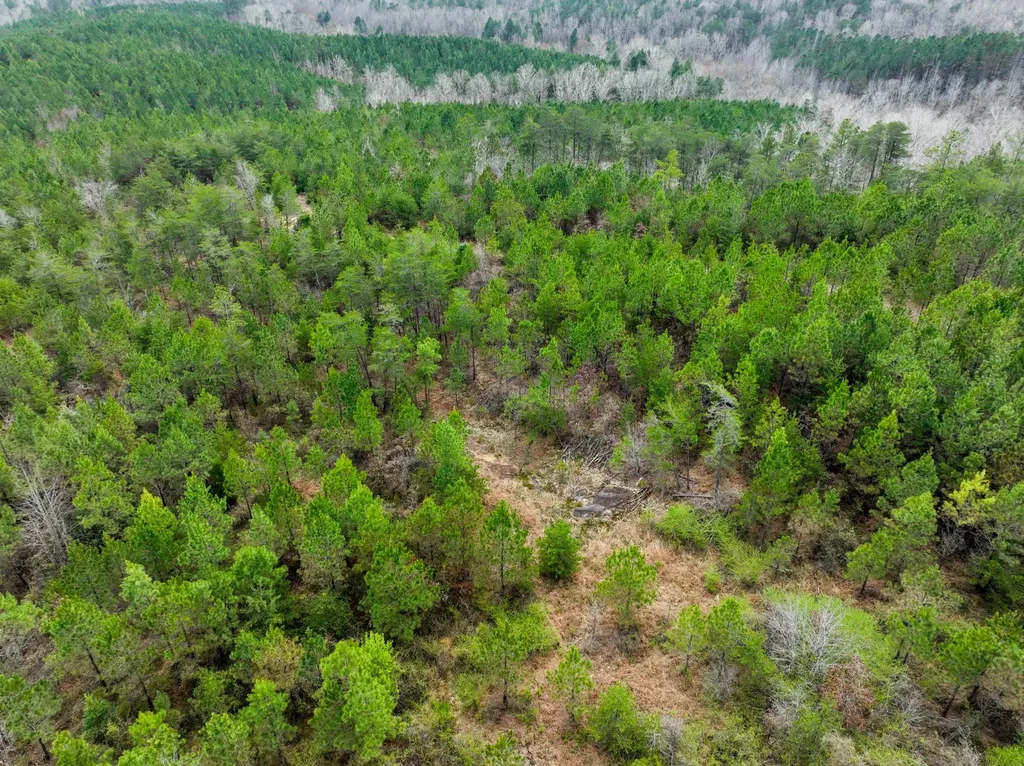 0 County Road 405 Haleyville AL 35565